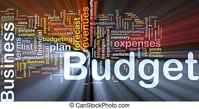 Budgeting and financial panning